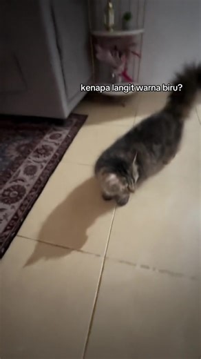 .star (@starlight.art0)’s videos with suara asli - star.art❥ - .star