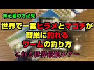 【初心者の方必見】世界で一番ヒラメとマゴチが簡単に釣れるワームの釣り方 これも世界最強ルアー(全フラットフィッシュ 青物 シーバス 根魚 ロックフィッシュ 鮃 対応)
