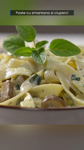 Reteta de paste cu smantana si ciuperci este perfecta pentru o cina rapida sau pentru un pranz in familie. Se face simplu si usor, este gustoasa, aromata si o puteti personaliza foarte usor. Ii puteti adauga bucatele de bacon, piept de pui sau orice altceva va place. | JamilaCuisine