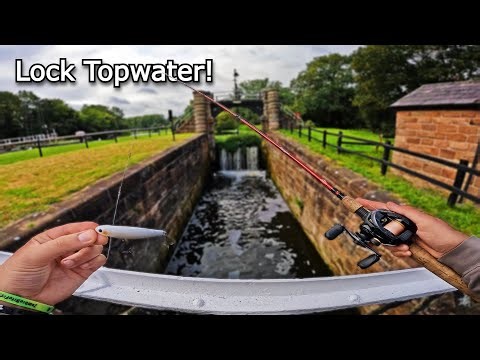 Could I Catch Another Giant Perch at the Lock? This Spot Might Be the Key…