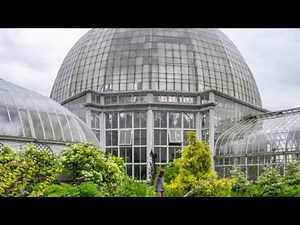 Local 4 News at 6 -- Oct. 31, 2022