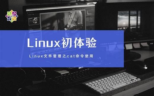 12 Linux文件管理之cat命令使用