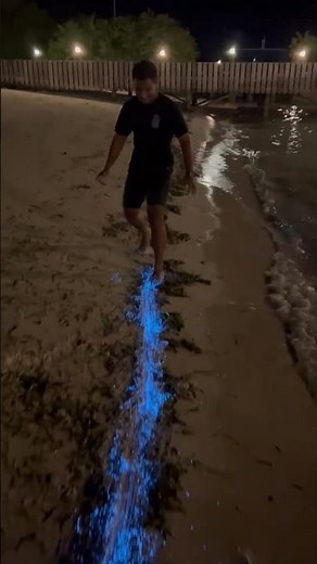 Bioluminescent Plankton Glow on Beach in the Maldives || ViralHog
