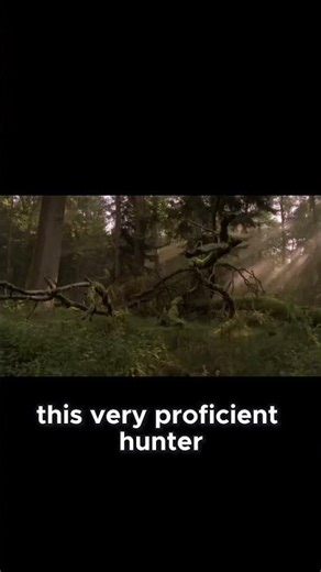 The Secret Flight Skills of the Northern Goshawk Revealed