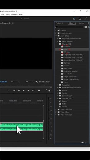 আমি যেভাবে অডিও এডিটিং করি। Professional Audio editing tutorial using audacity a
