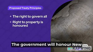 Here is everything you need to know about the Treaty Principles Bill and its critics in 19 seconds 👇 | ACT