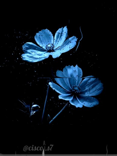 One Call Away - Amharic Music Lyrics