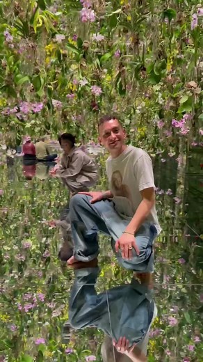 little plant dance 🌱