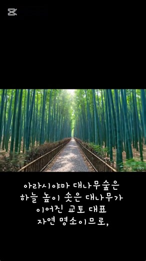 일본 교토 관광지 소개 2탄🇯🇵🇯🇵🇯🇵🇯🇵🇯🇵#구글 #재미나이 #여행 #일본#교토