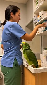 139K views · 5.4K reactions | Parrot Reminds Nurse to Drink Water 列 A green parrot tells the nurse she forgot to drink water. She laughs and asks how he knows. He says she sounds tired. She smiles and looks touched. The camera captures her soft reaction and the bird’s calm posture with perfect lip sync. #heartwarming #funnyvideo #usa #shorts #viral #parrot #nurse #care #reaction #trending | Smile of Prosperity | Facebook