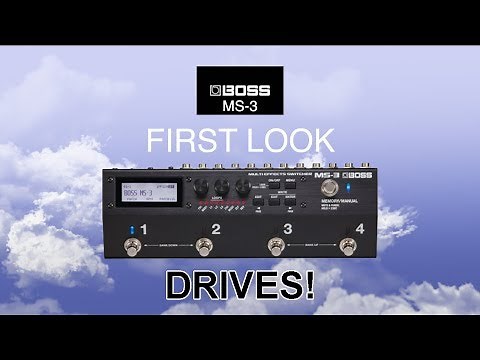 First Look At The BOSS MS-3 Drives!