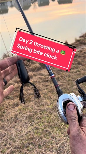 Frog Fishing Challenge Day 2: Catching Big Bass