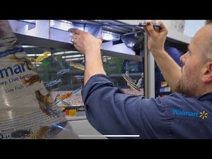 RESCUING the FISH from WALMART!!!