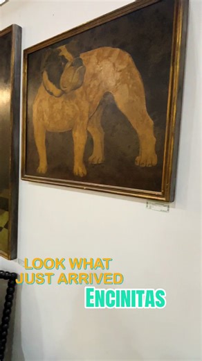 The real deal $$$$ IYKYK #fyp #tiktokviral #original ##artistsoftiktok #encinitas