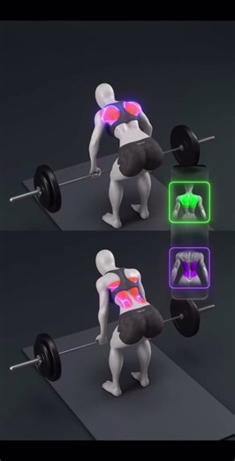 Barbell Row Tutorial – Train Your Back with Overhand and Underhand Grip. #fitness #workout