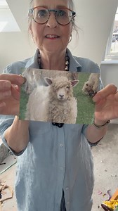 2.5K reactions · 84 shares | Update on the sheep picture. I am using a photo for reference. It’s painstakingly slow adding small pieces of fabric. One mm out and the whole expression on her face changes! All the scraps are pinned in layers before I handstitch them together on to the background fabric, trimming and shaping as I go. #workinprogress #textiles #textileart | Art in Textiles | Facebook