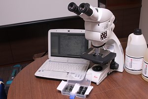 Metallography Testing Company Malaysia | XESSB