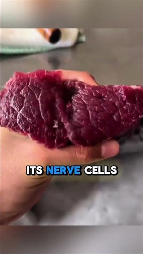 This is why meat is still moving after slaughtered!!🤯