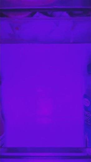 dance party in the REFRIGERATOR⁽⁽٩(๑˃̶͈̀ ᗨ ˂̶͈́)۶⁾⁾