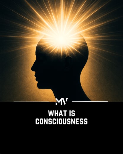 Dr. Steven Greer reveals that the real singularity humanity is searching for isn’t found in technology, but in the infinite field of consciousness that unites all minds as one. Through quantum entanglement and meditation, he explains that we can transcend space and time, awakening to the realization that every individual awareness is part of a unified intelligence experiencing itself through all of us. This deeper understanding reveals that our thoughts and intentions ripple through the entire f
