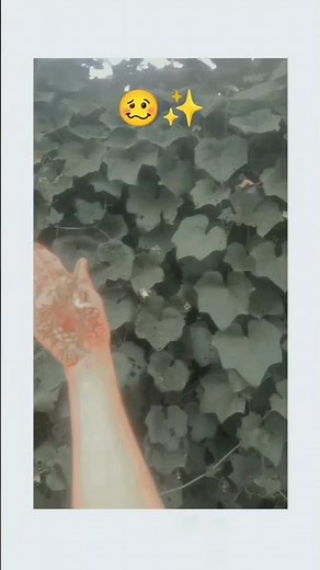 kahi ag laga lag java kahi gajan gira gir java#💔#🤯#🥺#😱