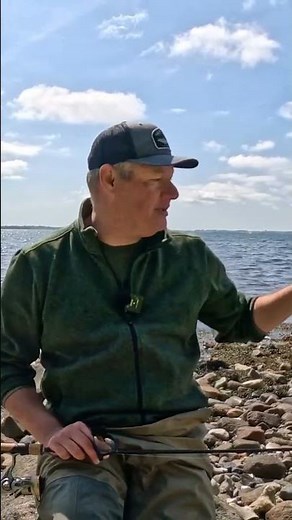 Lær at spotte havørreden i vandet 🎣