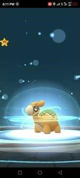 Catch 84iv numel and evolve into camerupt