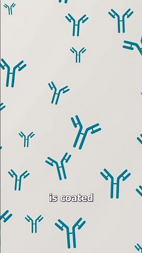 How A Pregnancy Test Works 🤔