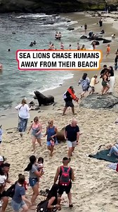 662K views · 5.4K reactions | They were marking their territory!﫣 | Lessons Learned In Life | Facebook