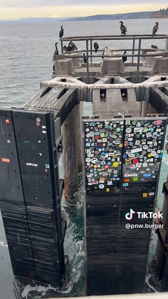 Curious Stickers on Road Signs in Washington State