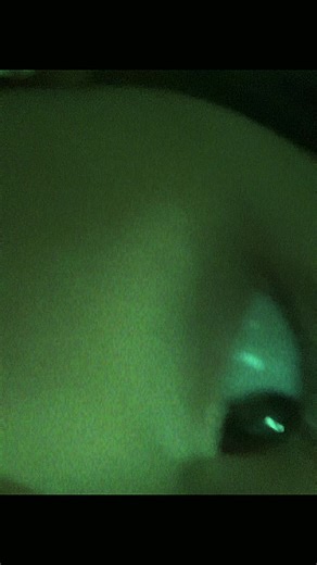 Videos de Ireee💗💋 (@irela7) con “sonido original - Ireee💗💋”