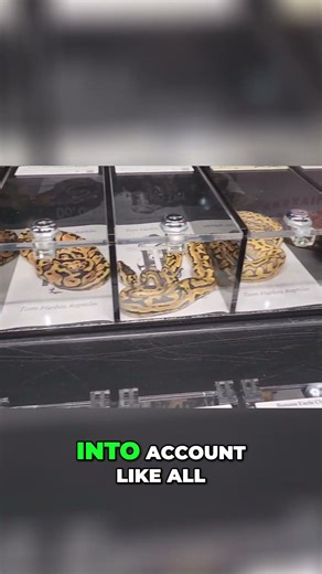 Breeding Guide Top Genes for Your New Silence Breeders!