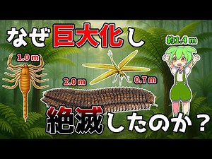 【衝撃】なぜ古代の虫は巨大化し、絶滅したのか？3億年前の地球で起きた驚きの進化と滅亡の真実【ずんだもん解説】