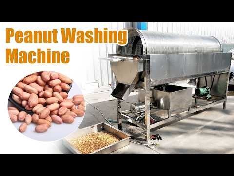 Automatic Peanut Kernel Washing Machine for Groundnut Cleaning|Peanut Processing Machine in Action
