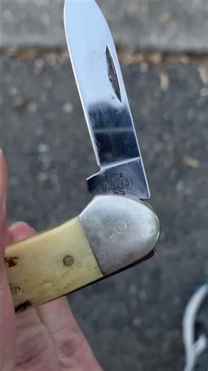 Found a STAG Case Canoe in the Wild 🦌 Case XX Stag Canoe Knife Review (Model 6.52131)