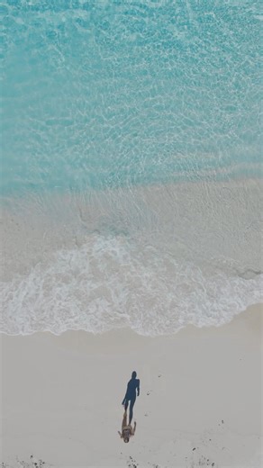 48 reactions | Why are so many investors in the USA  turning to the...