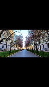 Happy Friday! What’s your favorite season on College Walk & NYC? 🌸☀️🍁❄️ 🎥 Saharsh Aggarwal ’23SEAS #ColumbiaUniversity | Columbia Alumni Association