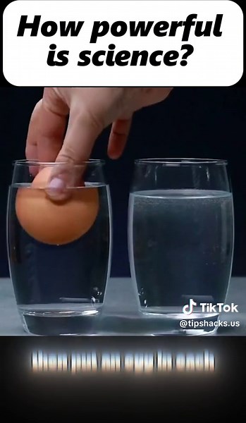 These simple science experiments will amaze you#foryou #lifehacks #learnontiktok #creative