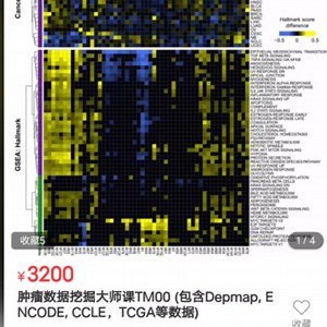 肿瘤数据挖掘大师课TM00 (包含Depmap, ENCODE, CCLE，TCGA等数据)