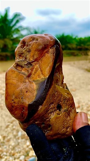 Wwaw. super wood possil #SatisfyingVideo #OutdoorAdventure #HiddenGems #Fyp.