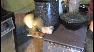 Tim Carroll of Cedar River Horse Logging explains the niceties of establishing and maintaining a long-term logging camp in the wilderness. | Rural Heritage Magazine