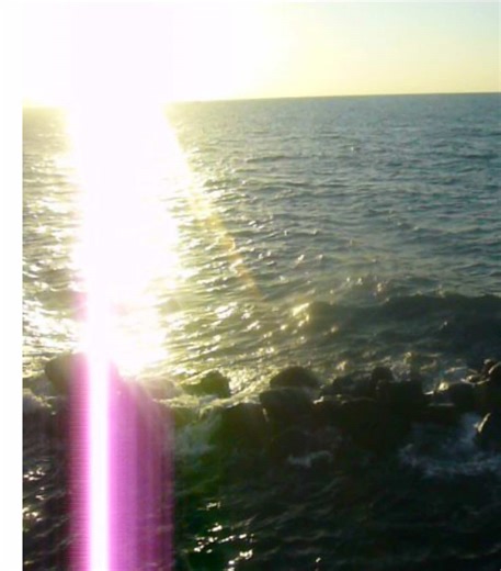 Finding Beauty in the Ephemeral