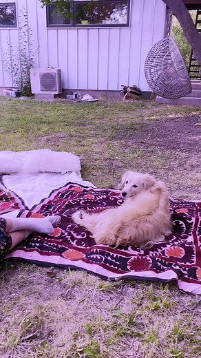 samuel walker (@samuel.walker1)’s videos with Amazing Grace (Church Choir) - The Suntrees Sky | TikTok