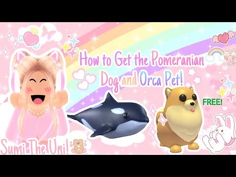 How to Get the New *POMERANIAN DOG & ORCA PET* for FREE in Adopt Me! 🥳💗🌈