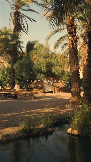 ❋ חורף במדבר ~ הזמן הכי קסום בשנה ❋ בריזות נעימות בערב, שמש מלטפת ביום ומדבר שלובש צבעים של זהב. העונה המושלמת לנשום עמוק, להירגע, ולהתאהב מחדש בקסם של מואה. קחו רגע של שקט בהאט-טאב, נשימה עמוקה בסאונת הטמזקל, או על הערסל. הזמינו עכשיו את חופשת החורף שלכם, והבטיחו לעצמכם מקום ברוגע המדברי | Moa Living