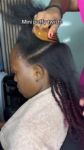 Elegant Mini Twists for All Natural Hair Types