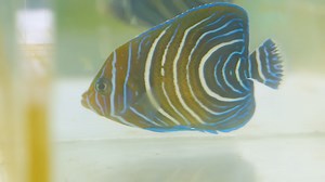 The Secret World of Aquatic Life Hidden Inside a Warehouse