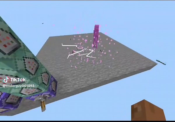 That one ender guy on TikTok