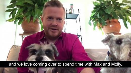 38K views · 213 reactions | How cute are these dogs?! | KDKA-TV | CBS Pittsburgh | Facebook