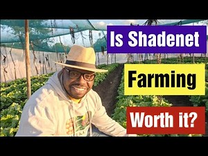 Is Shadenet/ Nethouse Farming worth it? Here is the Panuka Farm Testimony?